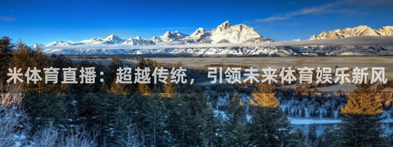 米体育直播：超越传统，引领未来体育娱乐新风