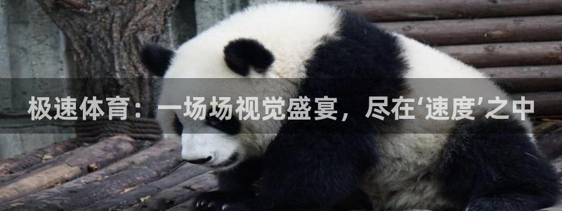 极速体育：一场场视觉盛宴，尽在‘速度’之中