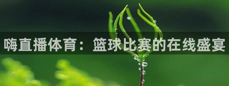 嗨直播体育：篮球比赛的在线盛宴